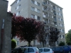 Facade EST 02