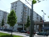 DSCF0356.JPG
