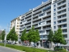 DSCF0333.JPG