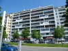 DSCF0334.JPG