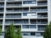 DSCF0335.JPG