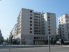 ACACIAS 03.JPG