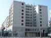 ACACIAS 04.JPG
