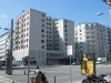 DSCF0312.JPG