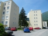 DSCF0350.JPG